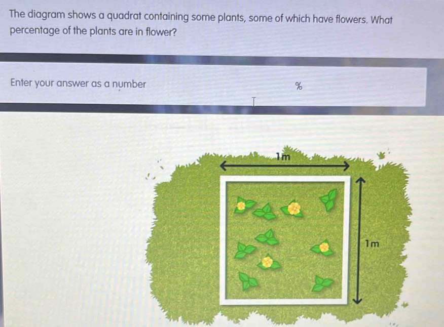 Solved: The diagram shows a quadrat containing some plants, some of ...