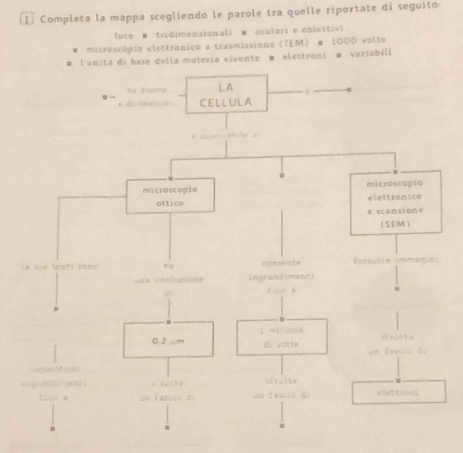 Completa la mappa scegliendo le parole tra quelle riportate di seguíto:
luce B tridimensionali B ocularie oblettivi
microscópio elettronico a trasmissione (TEM) # 1000 volte
ateria vivente B elettroni■ variabili