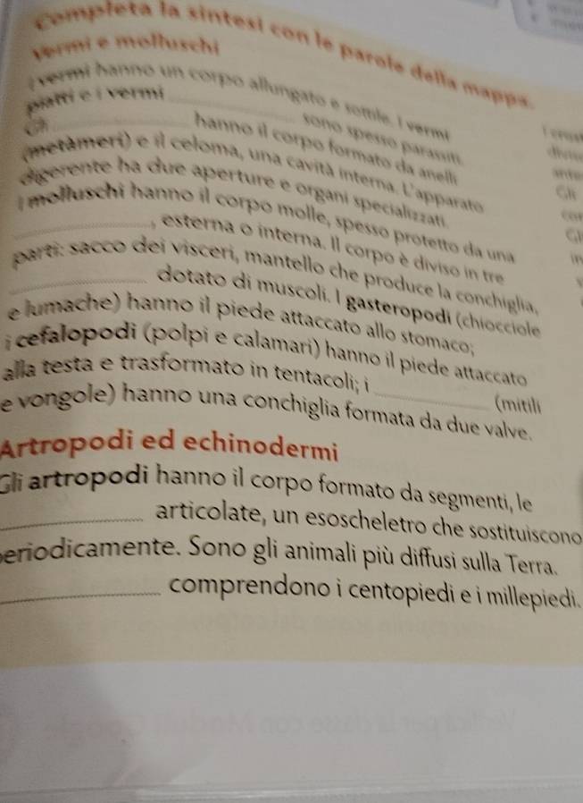 Risolto:vermi e molluschi Completa la sintesi con le parole della mappa ...