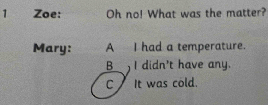 Zoe: Oh no! What was the matter?
Mary: A I had a temperature.
B I didn't have any.
CIt was cold.