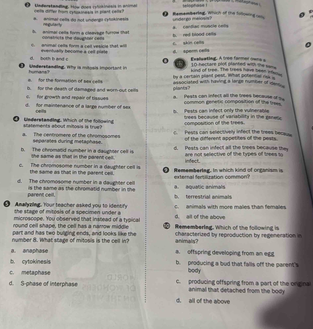 anaphase i,prophase i mets phas e 
2 Understanding. How does cytokinesis in animal telophase !
cells differ from cytokinesis in plant cells? 7 Remembering. Which of the following calls
a. animal cells do not undergo cytokinesis undergo meiosis?
regularly
a. cardiac muscle cells
b. animal cells form a cleavage furrow that
b. red blood cells
constricts the daughter cells
c. animal cells form a cell vesicle that will c, skin cells
eventually become a cell plate d. sperm cells
d. both b and c Evaluating. A tree farmer owns a
10-hectare plot planted with the same
❸ Understanding. Why is mitosis important in kind of tree. The trees have been infecte
humans?
by a certain plant pest. What potential risk is
a. for the formation of sex cells associated with having a large number of identics 
b. for the death of damaged and worn-out cells
plants?
c. for growth and repair of tissues
a. Pests can infect all the trees because of the
common genetic composition of the trees
d. for maintenance of a large number of sex
cells b. Pests can infect only the vulnerable
trees because of variability in the genetic
Understanding. Which of the following
statements about mitosis is true? composition of the trees.
c. Pests can selectively infect the trees because
a. The centromere of the chromosomes
separates during metaphase. of the different appetites of the pests.
d. Pests can infect all the trees because the
b. The chromatid number in a daughter cell is
are not selective of the types of trees to
the same as that in the parent cell. infect.
c. The chromosome number in a daughter cell is 9 Remembering. In which kind of organism is
the same as that in the parent cell.
external fertilization common?
d. The chromosome number in a daughter cell
is the same as the chromatid number in the a. aquatic animals
parent cell. b. terrestrial animals
5 Analyzing. Your teacher asked you to identify c. animals with more males than females
the stage of mitosis of a specimen under a d. all of the above
microscope. You observed that instead of a typical
round cell shape, the cell has a narrow middle  Remembering. Which of the following is
part and has two bulging ends, and looks like the characterized by reproduction by regeneration in
number 8. What stage of mitosis is the cell in? animals?
a. anaphase
a. offspring developing from an egg
b. cytokinesis b. producing a bud that falls off the parent's
c. metaphase
body
c. producing offspring from a part of the original
d. S-phase of interphase animal that detached from the body 
d. all of the above