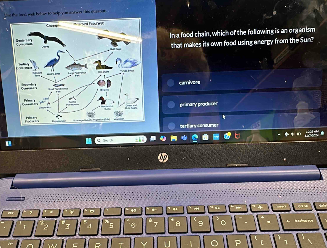 Use the food web below to help you answer this question.
In a food chain, which of the following is an organism
that makes its own food using energy from the Sun?
carnivore
primary producer
tertiary consumer
11/7/20
Search
di
40 insert
? prt sc dele
144
* 。
a
$ % ^ & *
1 2 3 4 5 6 7 8 9 。 = backspace
R T V U P [ ]