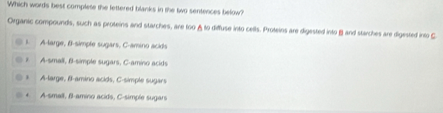 Which words best complete the lettered blanks in the two sentences below?
Organic compounds, such as proteins and starches, are too A to diffuse into cells. Proteins are digested into B and starches are digested into C
, A-large, B-simple sugars, C-amino acids
z A-small, B-simple sugars, C-amino acids
A-large, B-amino acids, C-simple sugars
4 A-small, B-amino acids, C-simple sugars