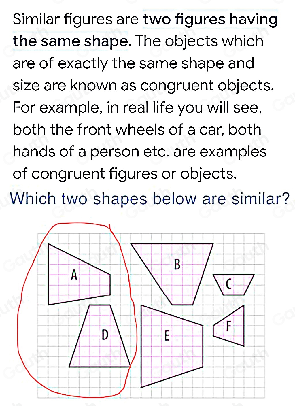 Solved: Which two shapes below are similar? [Math]