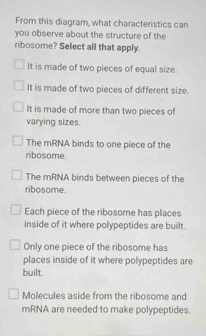 From this diagram, what characteristics can
you observe about the structure of the
ribosome? Select all that apply.
It is made of two pieces of equal size.
It is made of two pieces of different size.
It is made of more than two pieces of
varying sizes.
The mRNA binds to one piece of the
ribosome.
The mRNA binds between pieces of the
ribosome.
Each piece of the ribosome has places
inside of it where polypeptides are built.
Only one piece of the ribosome has
places inside of it where polypeptides are
built.
Molecules aside from the ribosome and
mRNA are needed to make polypeptides.