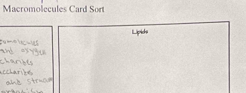 Macromolecules Card Sort 
Lipids