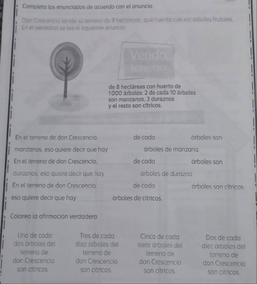 Completa los enunciados de acuerdo con el anuncio.
Don Crescencio vende su terreno de 8 hectáreas, que cuenta con mil árboles frutales.
En el periodico se lee el siguiente anuncio
Vendo
terreno
de 8 hectáreas con huerto de
1000 árboles: 2 de cada 10 árboles
son manzanos, 3 duraznos
y el resto son cítricos.
En el terreno de don Crescencio. de cada árboles son
manzanos; eso quiere decir que hay árboles de manzana.
En el terreno de don Crescencio, _de cada_ árboles son
duraznos; eso quiere decir que hay _arboles de durazno
En el terreno de don Crescencio, de cada árboles son cítricos
eso quiere decir que hay _árboles de cítricos.
Colorea la afirmación verdadera.
Uno de cada Tres de cada Cinco de cada Dos de cada
dos árboles del diez árboles del siete árboles del diez árboles del
terreno de terreno de terreno de terreno de
don Crescencto don Crescencio don Crescencio don Crescencio
son cítricos. son citricos. son cítricos son citricos