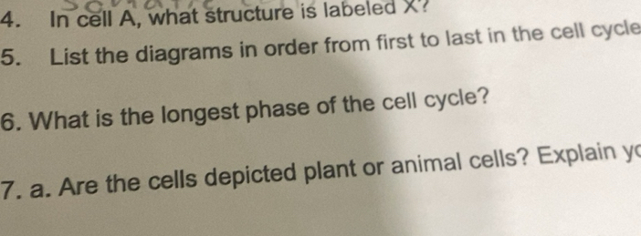 Solved: In cell A, what structure is labeled X 5. List the diagrams in ...