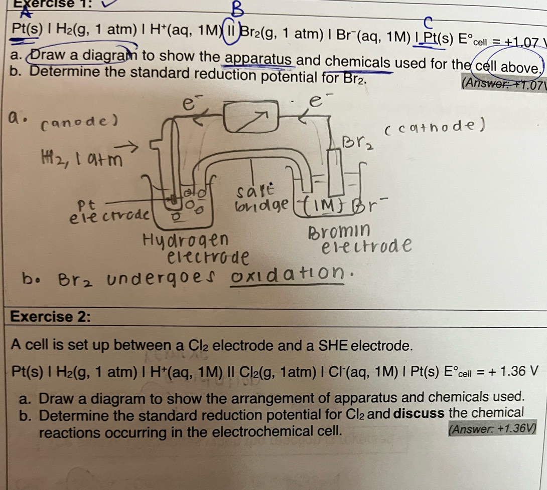 Pt(s)|H_2(g,1atm)|H^+(aq,1M)||Br_2(g,1atm)|Br^-(aq,1M)|_ Pt(s)E°_cell=+1.07
a. Draw a diagram to show the apparatus and chemicals used for the cell above. 
b. Determine the standard reduction potential for Br_2. (Answer: +1.07) 
Exercise 2: 
A cell is set up between a Cl_2 electrode and a SHE electrode.
Pt(s)|H_2(g,1atm)|H^+(aq,1M)||Cl_2(g,1atm)|Cl^-(aq,1M)|Pt(s)E°_cell=+1.36V
a. Draw a diagram to show the arrangement of apparatus and chemicals used. 
b. Determine the standard reduction potential for Cl_2 and discuss the chemical 
reactions occurring in the electrochemical cell. (Answer: +1.36V)