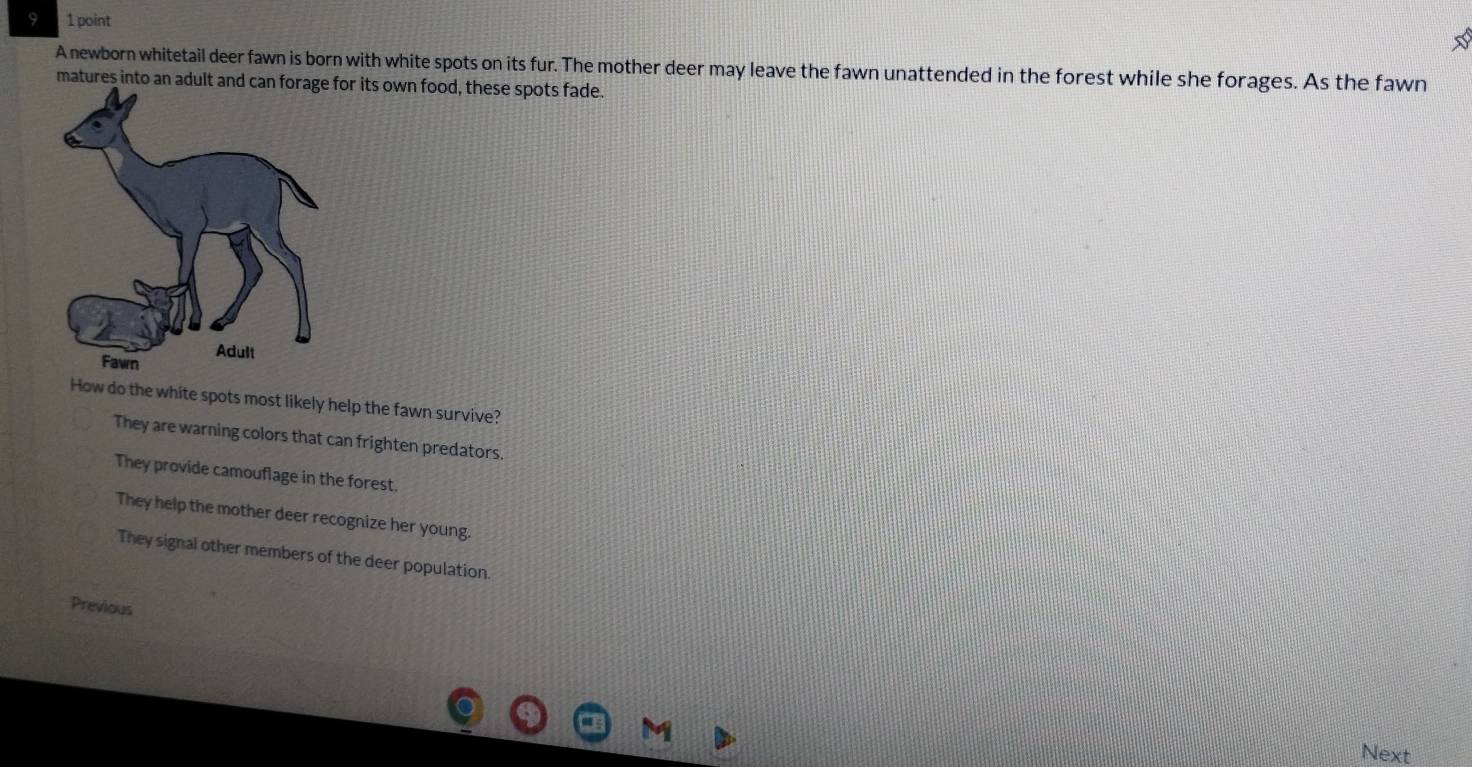 9 1 point
A newborn whitetail deer fawn is born with white spots on its fur. The mother deer may leave the fawn unattended in the forest while she forages. As the fawn
matures into an adult and can forage for its own food, these spots fade.
Fawn Adult
How do the white spots most likely help the fawn survive?
They are warning colors that can frighten predators.
They provide camouflage in the forest.
They help the mother deer recognize her young.
They signal other members of the deer population.
Previous
M
Next