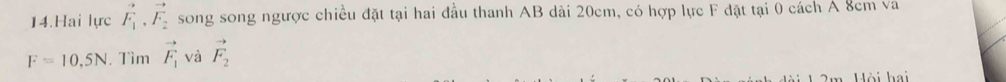 Hai lực vector F_1, vector F_2 song song ngược chiều đặt tại hai đầu thanh AB dài 20cm, có hợp lực F đặt tại 0 cách A 8cm va
F=10.5N , Tìm vector F_1 và vector F_2
Hội hai
