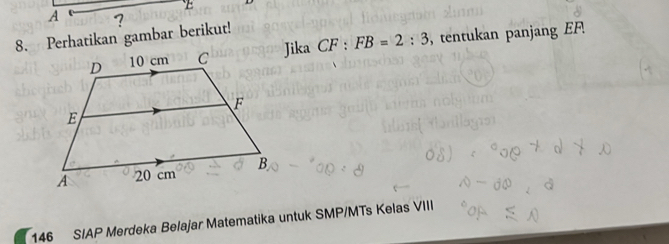 A ? 
8. Perhatikan gambar berikut! 
Jika CF:FB=2:3 tentukan panjang EF.
146 SIAP Merdeka Belajar Matematika untuk SMP/MTs Kelas VII