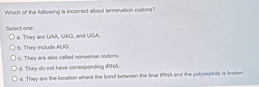 Which of the following is incorrect about termination codons?
Select one:
a. They are UAA, UAG, and UGA.
b. They include AUG.
c. They are also called nonsense codons.
d. They do not have corresponding tRNA.
e. They are the location where the bond between the final tRNA and the polypeptide is broken.