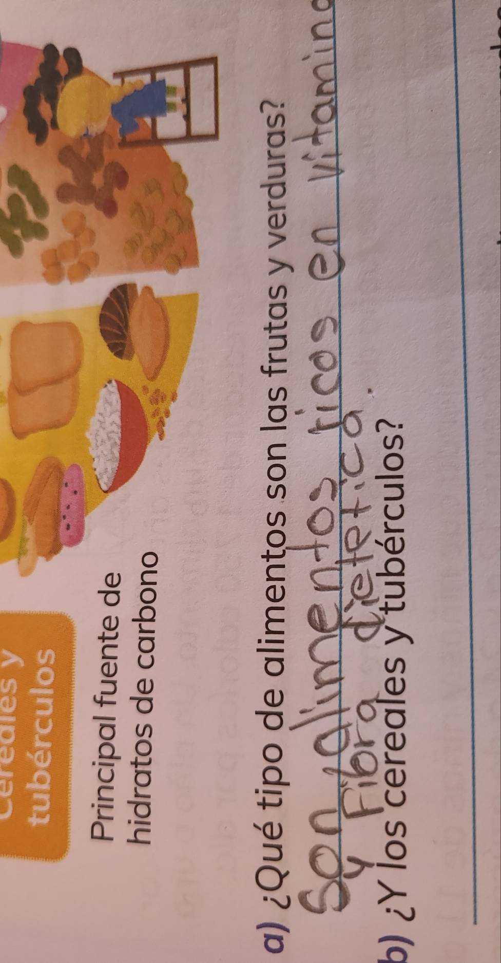 Ceredles y 
tubérculos 
Principal fuente de 
hidratos de carbono 
a) ¿Qué tipo de alimentos son las frutas y verduras? 
_ 
b) ¿Y los cereales y tubérculos? 
_