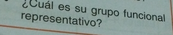 ¿Cuál es su grupo funcional 
representativo?