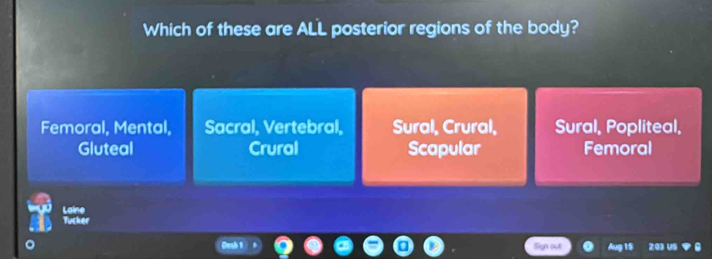 Which of these are ALL posterior regions of the body?
Femoral, Mental, Sacral, Vertebral, Sural, Crural, Sural, Popliteal,
Gluteal Crural Scapular Femoral
Laine
Tucker
Cesk 1 Sign out Aug 11 203 US