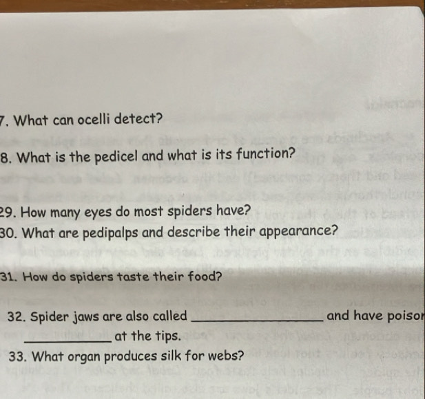 What can ocelli detect? 
8. What is the pedicel and what is its function? 
29. How many eyes do most spiders have? 
30. What are pedipalps and describe their appearance? 
31. How do spiders taste their food? 
32. Spider jaws are also called _and have poisor 
_at the tips. 
33. What organ produces silk for webs?