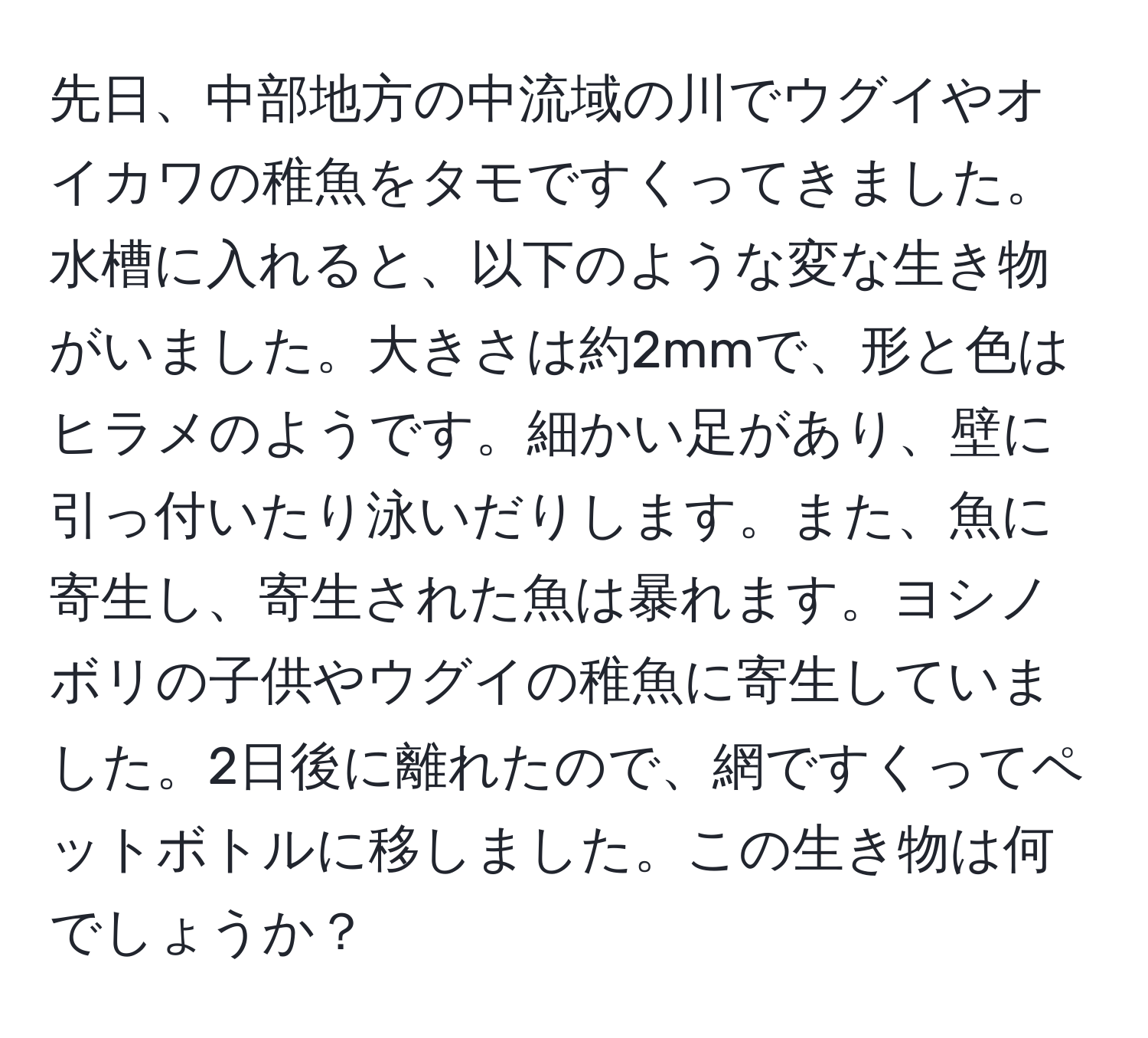 先日、中部地方の中流域の川でウグイやオイカワの稚魚をタモですくってきました。水槽に入れると、以下のような変な生き物がいました。大きさは約2mmで、形と色はヒラメのようです。細かい足があり、壁に引っ付いたり泳いだりします。また、魚に寄生し、寄生された魚は暴れます。ヨシノボリの子供やウグイの稚魚に寄生していました。2日後に離れたので、網ですくってペットボトルに移しました。この生き物は何でしょうか？