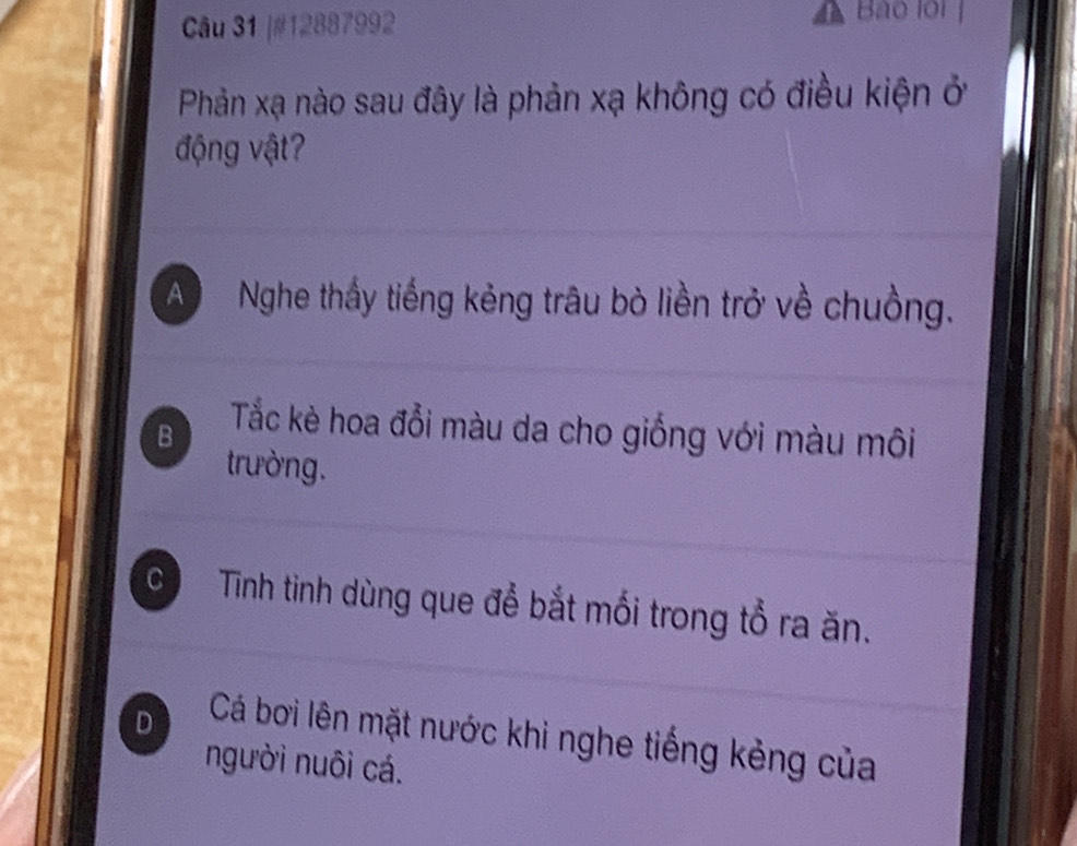 #12887992
Bào loi
Phản xạ nào sau đây là phản xạ không có điều kiện ở
động vật?
A Nghe thấy tiếng kẻng trâu bò liền trở về chuồng.
B
Tắc kè hoa đổi màu da cho giống với màu môi
trường.
G Tình tinh dùng que để bắt mối trong tổ ra ăn.
D Cá bơi lên mặt nước khi nghe tiếng kẻng của
người nuôi cá.