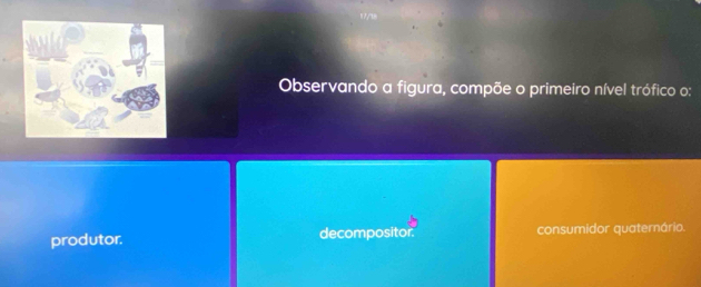 Observando a figura, compõe o primeiro nível trófico o:
produtor. decompositor. consumidor quaternário.