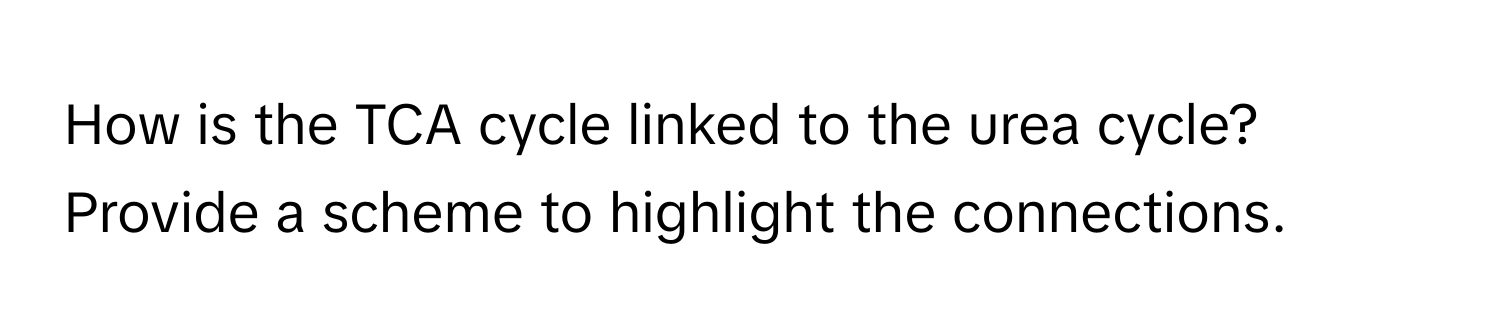 How is the TCA cycle linked to the urea cycle? Provide a scheme to highlight the connections.