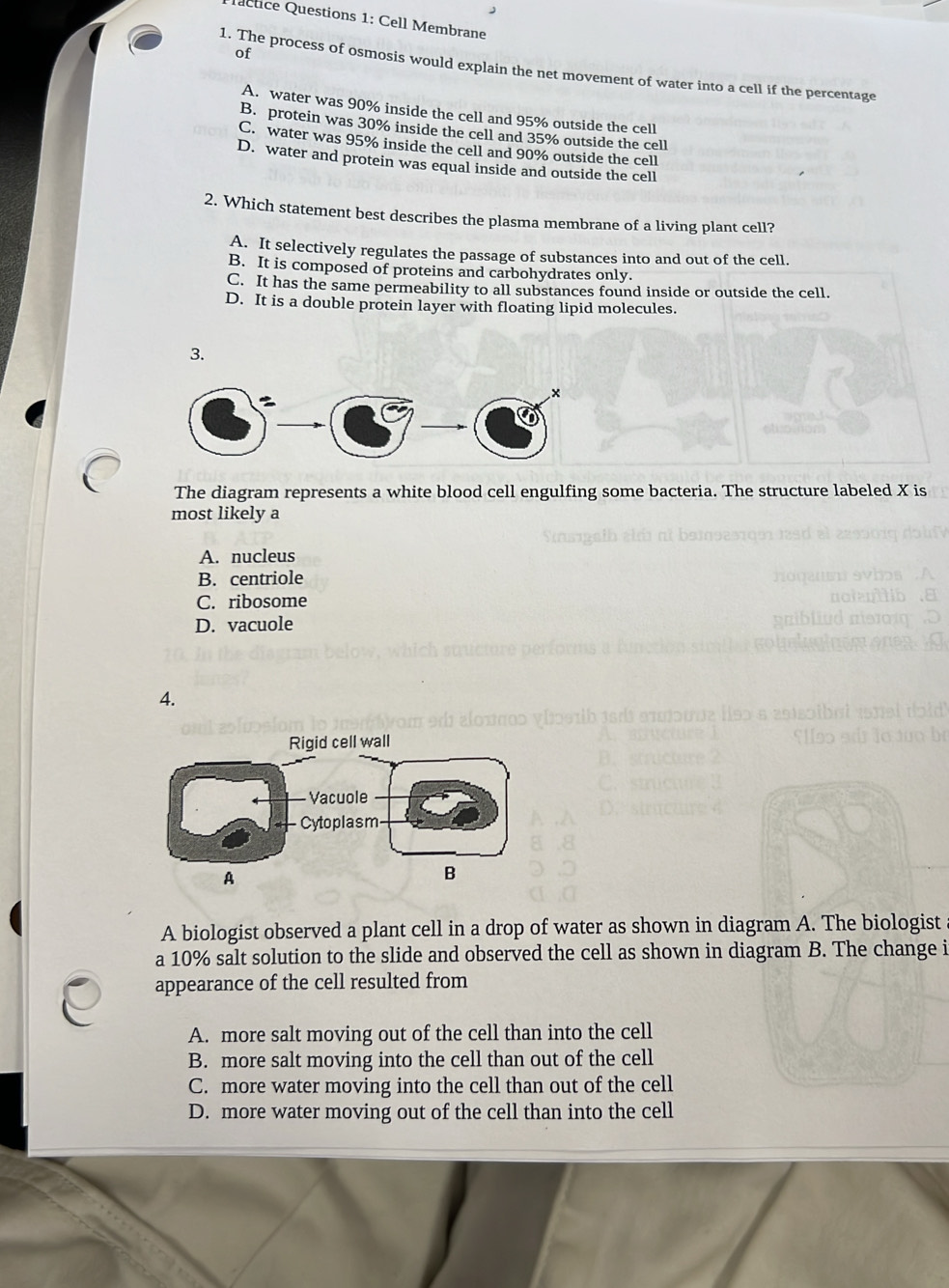 factice Questions 1: Cell Membrane
of
1. The process of osmosis would explain the net movement of water into a cell if the percentage
A. water was 90% inside the cell and 95% outside the cell
B. protein was 30% inside the cell and 35% outside the cell
C. water was 95% inside the cell and 90% outside the cell
D. water and protein was equal inside and outside the cell
2. Which statement best describes the plasma membrane of a living plant cell?
A. It selectively regulates the passage of substances into and out of the cell.
B. It is composed of proteins and carbohydrates only.
C. It has the same permeability to all substances found inside or outside the cell.
D. It is a double protein layer with floating lipid molecules.
3.
The diagram represents a white blood cell engulfing some bacteria. The structure labeled X is
most likely a
A. nucleus
B. centriole
C. ribosome
D. vacuole
4.
A
A biologist observed a plant cell in a drop of water as shown in diagram A. The biologist
a 10% salt solution to the slide and observed the cell as shown in diagram B. The change i
appearance of the cell resulted from
A. more salt moving out of the cell than into the cell
B. more salt moving into the cell than out of the cell
C. more water moving into the cell than out of the cell
D. more water moving out of the cell than into the cell