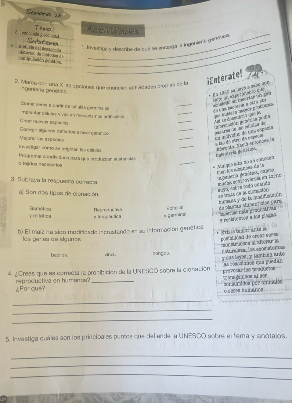 Semana 26
Tema
Actividades
3. Tecnología y sociedad._
Subtema
1. Investiga y describe de qué se encarga la ingeniería genética.
3.1 Análisis del desarrollo_
histórico de métodos de
manipulación genética.
2. Marca con una X las opciones que enuncien actividades propias de la Entérate!
* En 1980 se llevó a cabo con
ingeniería genética.
_
éxito un experimento que
consistió en insertar un gen
_
Clonar seres a partir de células germinales
de una bactería a otra sin
_
Implantar células vivas en mecanismos artificiales
que hubiera mayor problema.
Así se descubrió que la
_
información genética podía
Crear nuevas especies
Corregir algunos defectos a nivel genético
pasarse de las células de
Mejorar las especies
_
un indivíduo de una especie
Investigar cómo se originan las células
_
a las de otro de especie
diferente. Nació entonces la
Programar a individuos para que produzcan sustancias
ingenieria genética
o tejidos necesarios
_
Aunque aún no se conocen
bien los alcances de la
ingeniería genética, existe
3. Subraya la respuesta correcta.
mucha controversia en torno
suyo, sobre todo cuando
a) Son dos tipos de clonación.
se trata de la clonación
humana y de la modificación
Gamética Reproductiva
Epitelial
de plantas alimenticias para
y mitótica y terapéutica
y germinal
hacerlas más productivas
y resistentes a las plagas.
b) El maíz ha sido modificado incrustando en su información genética
Existe temor ante la
los genes de algunos
posibilidad de crear seres
monstruosos al alterar la
bacilos. virus. hongos.
naturaleza, los ecosistemas
y sus leyes, y también ante
4. ¿Crees que es correcta la prohibición de la UNESCO sobre la clonación las reacciones que puedan
provocar los productos
reproductiva en humanos?_
transgénicos al ser
consumidos por animales
¿Por qué?
o seres humanos.
_
_
_
5. Investiga cuáles son los principales puntos que defiende la UNESCO sobre el tema y anótalos.
_
_
_