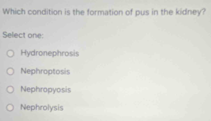 Which condition is the formation of pus in the kidney?
Select one:
Hydronephrosis
Nephroptosis
Nephropyosis
Nephrolysis