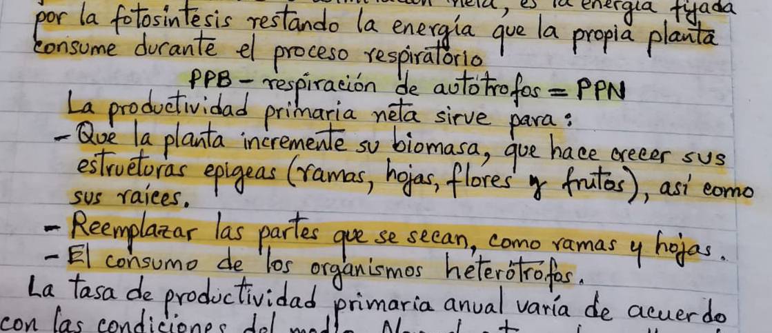 ela, es i energla fyada 
por la fotosintesis restando (a energia gue la propia planta 
consume ducante el proceso respiratoria 
PPB- respiracion de aototrofos =PPN 
La productividad primaria neta sirve para : 
- Que la planta incremente so biomasa, goe hace creeer sus 
estrvetoras epigeas (ramas, hoias, flores' frutos), asi eomo 
sus raices. 
- Reemplazar las partes gue se seean, como ramasy holas. 
El consumo de los organismos heterotrofes. 
La tasa de productividad primaria anual varia de acuer do 
con las condiciones dol mod