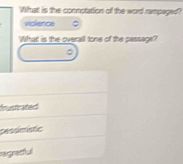 Whatt is the connotation of the word rampaged?
viclence
What is the overall tone of the passage?
frastrated
cessímistc
egeul