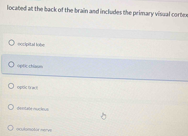 located at the back of the brain and includes the primary visual cortex
occipital lobe
optic chiasm
optic tract
dentate nucleus
oculomotor nerve