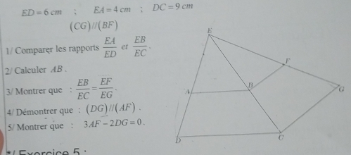 ED=6cm; EA=4cm; DC=9cm
(CG)//(BF)
1/ Comparer les rapports  EA/ED  et  EB/EC . 
2/ Calculer AB. 
3/ Montrer que :  EB/EC = EF/EG . 
4/ Démontrer que: (DG)parallel (AF). 
5/ Montrer que : 3AF-2DG=0. 
Exercic o 5