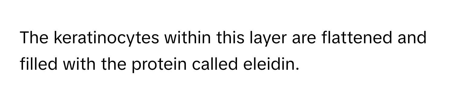 The keratinocytes within this layer are flattened and filled with the protein called eleidin.