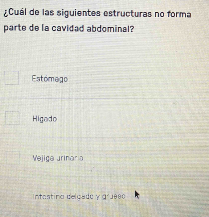 ¿Cuál de las siguientes estructuras no forma
parte de la cavidad abdominal?
Estómago
Hígado
Vejiga urinaria
Intestino delgado y grueso