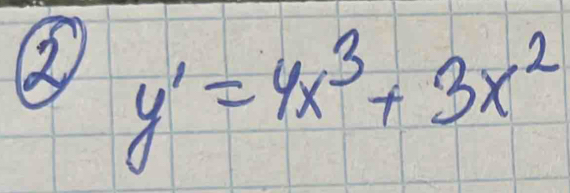 ② y'=4x^3+3x^2