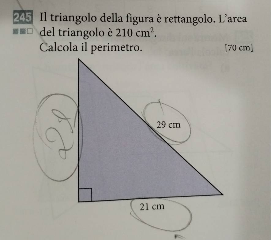 245 Il triangolo della figura è rettangolo. L'area 
del triangolo è 210cm^2.
[70 cm]