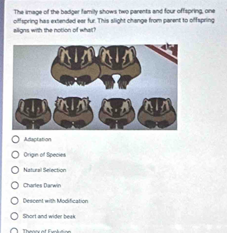 The image of the badger family shows two parents and four offspring, one
offspring has extended ear fur. This slight change from parent to offspring
alligns with the notion of what?
Adaptation
Origin of Species
Natural Selection
Charles Darwin
Descent with Modification
Short and wider beak
Thean of Funlution