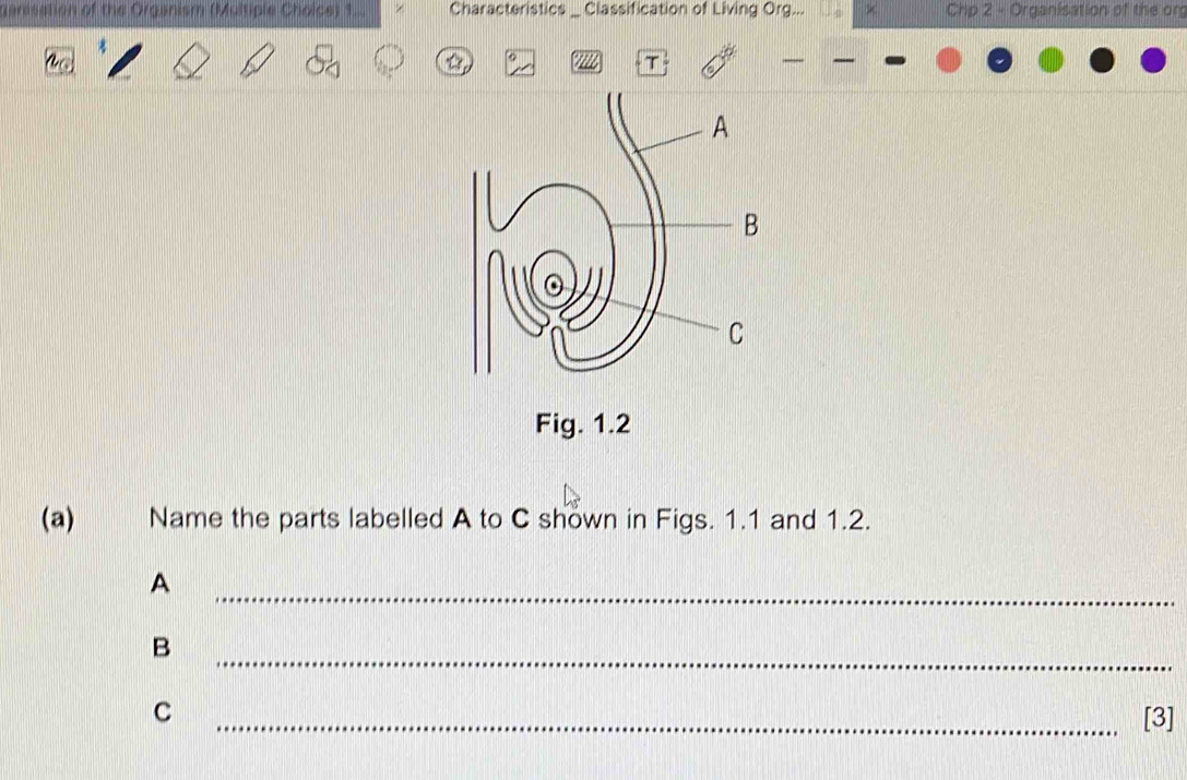 genisation of the Organism (Multiple Choice) 1... Characteristics _ Classification of Living Org... × Chp 2 - Organisation of the org 
o 
T 
Fig. 1.2 
(a) Name the parts labelled A to C shown in Figs. 1.1 and 1.2. 
_ 
A 
_ 
B 
C 
_[3]