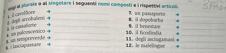 Volgi al plurale o al singolare i seguenti nomi composti e i rispettivi articoli. 
1. il cavolfiore_ 
7. un passaporto 
2. degli arcobaleni_ 
_ 
_ 
8. il dopobarba 
3. la cassaforte _9. il benestare_ 
4. un palcoscenico_ 
10. il ficodindia 
5. un sempreverde_ 
_ 
11. degli asciugamani_ 
6. i lasciapassare _12. le malelingue_