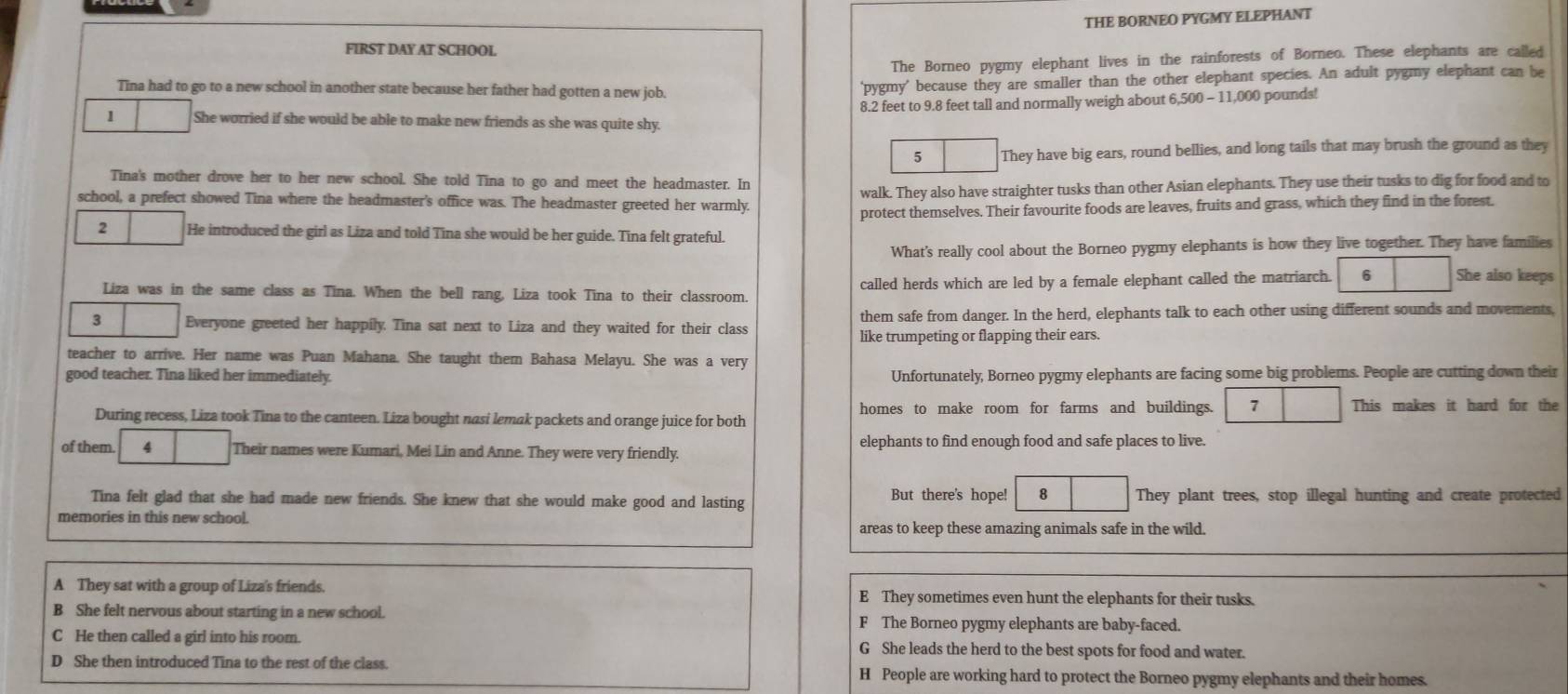 THE BORNEO PYGMY ELEPHANT
FIRST DAY AT SCHOOL
The Borneo pygmy elephant lives in the rainforests of Borneo. These elephants are called
Tina had to go to a new school in another state because her father had gotten a new job.
'pygmy’ because they are smaller than the other elephant species. An adult pygmy elephant can be
8.2 feet to 9.8 feet tall and normally weigh about 6,500 - 11,000 pounds!
1 She worried if she would be able to make new friends as she was quite shy.
5 They have big ears, round bellies, and long tails that may brush the ground as they
Tina's mother drove her to her new school. She told Tina to go and meet the headmaster. In
school, a prefect showed Tina where the headmaster's office was. The headmaster greeted her warmly. walk. They also have straighter tusks than other Asian elephants. They use their tusks to dig for food and to
protect themselves. Their favourite foods are leaves, fruits and grass, which they find in the forest.
2 He introduced the girl as Liza and told Tina she would be her guide. Tina felt grateful.
What's really cool about the Borneo pygmy elephants is how they live together. They have families
Liza was in the same class as Tina. When the bell rang, Liza took Tina to their classroom. called herds which are led by a female elephant called the matriarch. 6 She also keeps
3 Everyone greeted her happily. Tina sat next to Liza and they waited for their class them safe from danger. In the herd, elephants talk to each other using different sounds and movements
like trumpeting or flapping their ears.
teacher to arrive. Her name was Puan Mahana. She taught them Bahasa Melayu. She was a very
good teacher. Tina liked her immediately. Unfortunately, Borneo pygmy elephants are facing some big problems. People are cutting down their
homes to make room for farms and buildings. 1 This makes it hard for the
During recess, Liza took Tina to the canteen. Liza bought nasi lemak packets and orange juice for both
of them. 4 Their names were Kumari, Mei Lin and Anne. They were very friendly. elephants to find enough food and safe places to live.
Tina felt glad that she had made new friends. She knew that she would make good and lasting But there's hope! 8 They plant trees, stop illegal hunting and create protected
memories in this new school.
areas to keep these amazing animals safe in the wild.
A They sat with a group of Liza's friends. E They sometimes even hunt the elephants for their tusks.
B She felt nervous about starting in a new school. F The Borneo pygmy elephants are baby-faced.
C He then called a girl into his room. G She leads the herd to the best spots for food and water.
D She then introduced Tina to the rest of the class. H People are working hard to protect the Borneo pygmy elephants and their homes.