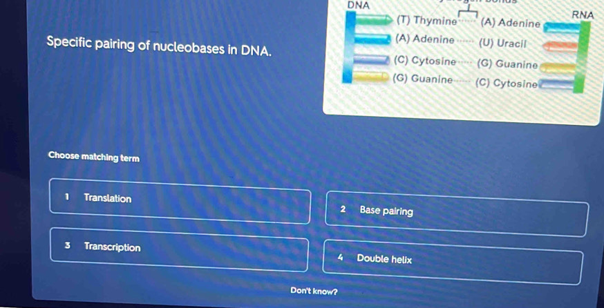 DNA
(T) Thymine (A) Adenine RNA
(A) Adenine (U) Uracil
Specific pairing of nucleobases in DNA. (C) Cytosine (G) Guanine
(G) Guanine (C) Cytosine
Choose matching term
1 Translation Base pairing
2
3 Transcription 4 Double helix
Don't know?