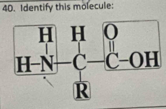 Identify this molecule:
H H 0

H-N C C-OH
R