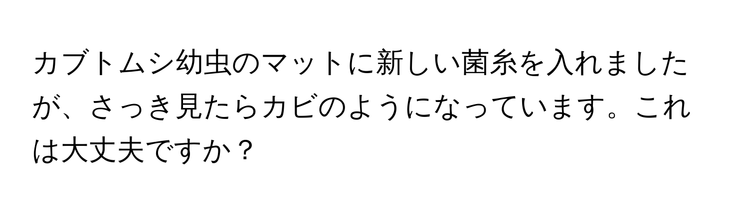 カブトムシ幼虫のマットに新しい菌糸を入れましたが、さっき見たらカビのようになっています。これは大丈夫ですか？