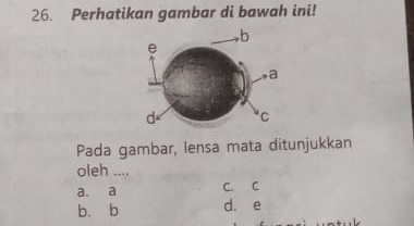 Perhatikan gambar di bawah ini!
Pada gambar, lensa mata ditunjukkan
oleh ....
a. a C. C
bù b d. e