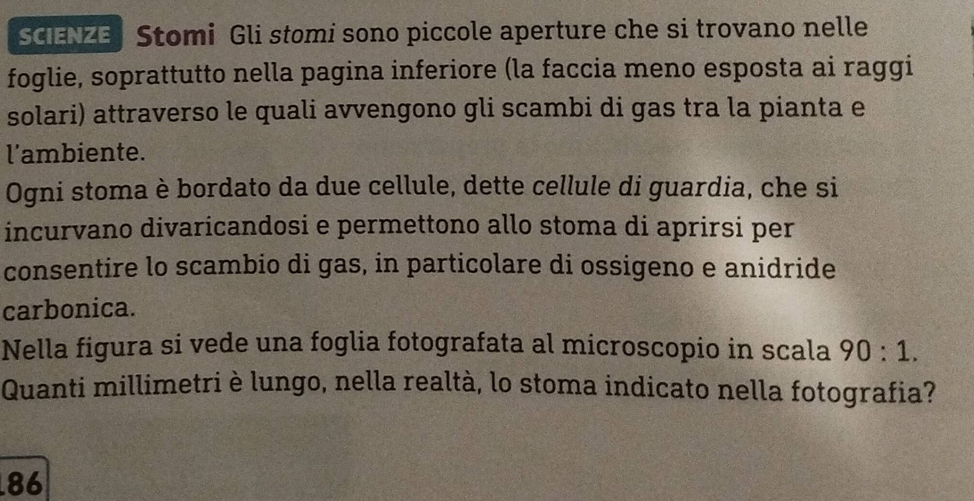 SCIENZE Stomi Gli stomi sono piccole aperture che si trovano nelle 
foglie, soprattutto nella pagina inferiore (la faccia meno esposta ai raggi 
solari) attraverso le quali avvengono gli scambi di gas tra la pianta e 
l'ambiente. 
Ogni stoma è bordato da due cellule, dette cellule di guardia, che si 
incurvano divaricandosi e permettono allo stoma di aprirsi per 
consentire lo scambio di gas, in particolare di ossigeno e anidride 
carbonica. 
Nella figura si vede una foglia fotografata al microscopio in scala 90:1. 
Quanti millimetri è lungo, nella realtà, lo stoma indicato nella fotografia? 
86