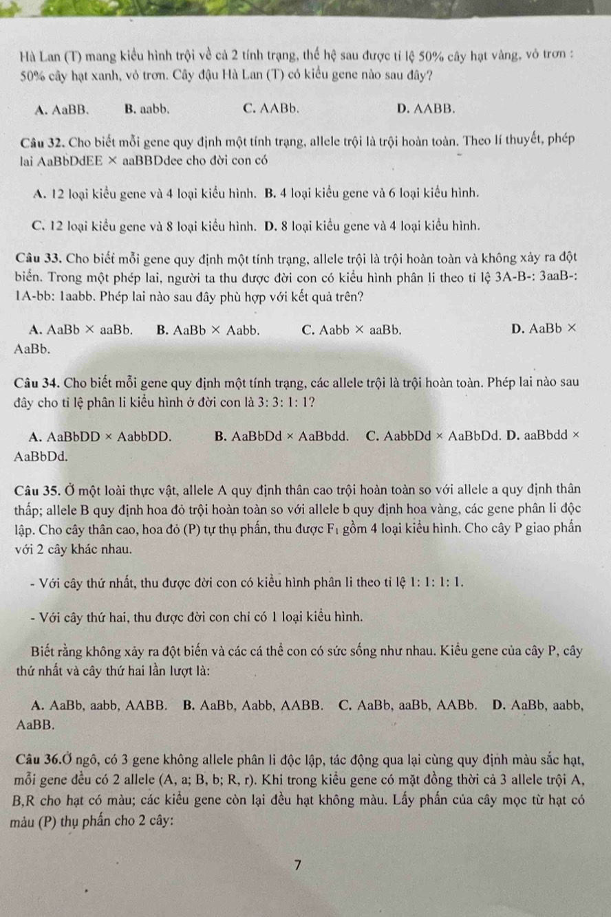 Hà Lan (T) mang kiểu hình trội về cả 2 tính trạng, thể hhat ? sau được tỉ lệ 50% cây hạt vàng, vỏ trơn :
50% cây hạt xanh, vỏ trơn. Cây đậu Hà Lan (T) có kiểu gene nào sau đây?
A. AaBB. B. aabb. C. AABb. D. AABB.
Câu 32. Cho biết mỗi gene quy định một tính trạng, allele trội là trội hoàn toàn. Theo lí thuyết, phép
lai AaBbDdEE × aaBBDdee cho đời con có
A. 12 loại kiểu gene và 4 loại kiểu hình. B. 4 loại kiểu gene và 6 loại kiểu hình.
C. 12 loại kiểu gene và 8 loại kiểu hình. D. 8 loại kiểu gene và 4 loại kiểu hình.
Câu 33. Cho biết mỗi gene quy định một tính trạng, allele trội là trội hoàn toàn và không xảy ra đột
biển. Trong một phép lai, người ta thu được đời con có kiểu hình phân li theo tỉ lệ 3A-B-: 3aaB-:
IA-bb: 1aabb. Phép lai nào sau đây phù hợp với kết quả trên?
A. AaBb × aaBb. B. AaBb* Aabb. C. Aabb × aaBb. D. AaBb×
AaBb.
Câu 34. Cho biết mỗi gene quy định một tính trạng, các allele trội là trội hoàn toàn. Phép lai nào sau
đây cho tỉ lệ phân li kiểu hình ở đời con là 3:3:1:1 ?
A. AaBbDD×AabbDD. B. AaBbDd× AaBbdd. C. AabbDd× AaBbDd. D. aaBbdd ×
AaBbDd.
Câu 35. Ở một loài thực vật, allele A quy định thân cao trội hoàn toàn so với allele a quy định thân
thấp; allele B quy định hoa đỏ trội hoàn toàn so với allele b quy định hoa vàng, các gene phân li độc
lập. Cho cây thân cao, hoa đỏ (P) tự thụ phần, thu được F_1 gồm 4 loại kiểu hình. Cho cây P giao phần
với 2 cây khác nhau.
- Với cây thứ nhất, thu được đời con có kiều hình phân li theo tỉ 1xi 1:1:1:1.
- Với cây thứ hai, thu được đời con chỉ có 1 loại kiểu hình.
Biết rằng không xảy ra đột biến và các cá thể con có sức sống như nhau. Kiểu gene của cây P, cây
thứ nhất và cây thứ hai lần lượt là:
A. AaBb, aabb, AABB. B. AaBb , Aabb, AABB. C. AaBb, aaB b, AABb. D. AaBb, aabb,
AaBB.
Câu 36.Ở ngô, có 3 gene không allele phân li độc lập, tác động qua lại cùng quy định màu sắc hạt,
mỗi gene đều có 2 allele (A,a;B,b;R,r). Khi trong kiểu gene có mặt đồng thời cả 3 allele trội A,
B,R cho hạt có màu; các kiều gene còn lại đều hạt không màu. Lấy phần của cây mọc từ hạt có
màu (P) thụ phần cho 2 cây:
7