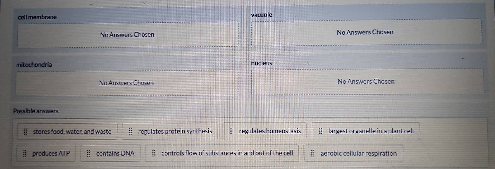 cell membrane vacuole
No Answers Chosen No Answers Chosen
mitochondria nucleus
No Answers Chosen No Answers Chosen
Possible answers
stores food, water, and waste = regulates protein synthesis :: regulates homeostasis B largest organelle in a plant cell
produces ATP contains DNA controls flow of substances in and out of the cell aerobic cellular respiration