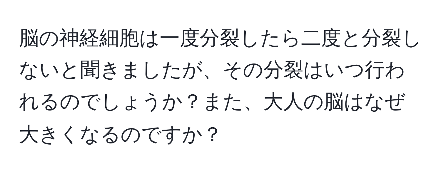 脳の神経細胞は一度分裂したら二度と分裂しないと聞きましたが、その分裂はいつ行われるのでしょうか？また、大人の脳はなぜ大きくなるのですか？