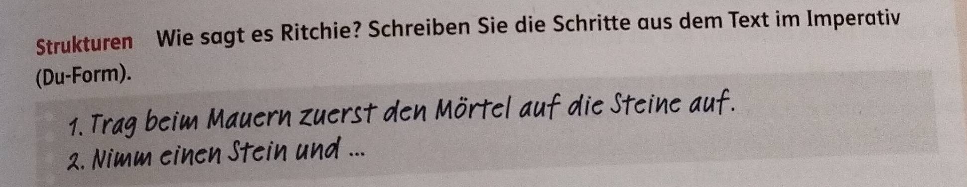 Strukturen Wie sagt es Ritchie? Schreiben Sie die Schritte aus dem Text im Imperativ 
(Du-Form). 
1. Trag beim Mauern zuerst den Mörtel auf die Steine auf. 
2. Nimm einen Stein und ...