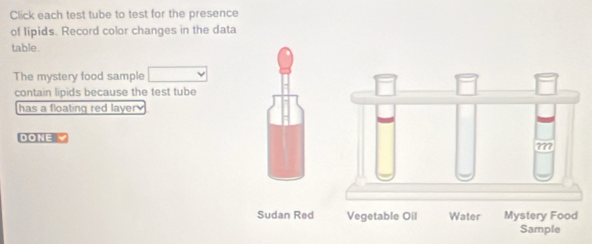 Click each test tube to test for the presence 
of lipids. Record color changes in the data 
table. 
The mystery food sample 
contain lipids because the test tube 
has a floating red layer 
DONE √ 
a 
Sudan Red Vegetable Oil Water Mystery Food 
Sample